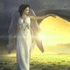 Serafina - Numerologie - Krafttierkarten - Tierkommunikation - Psych. Lebensberatung - Toxische Beziehungen