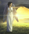 Serafina - Lenormandkarten - Numerologie - Krafttierkarten - Beruf & Arbeitsleben - Medium & Channeling